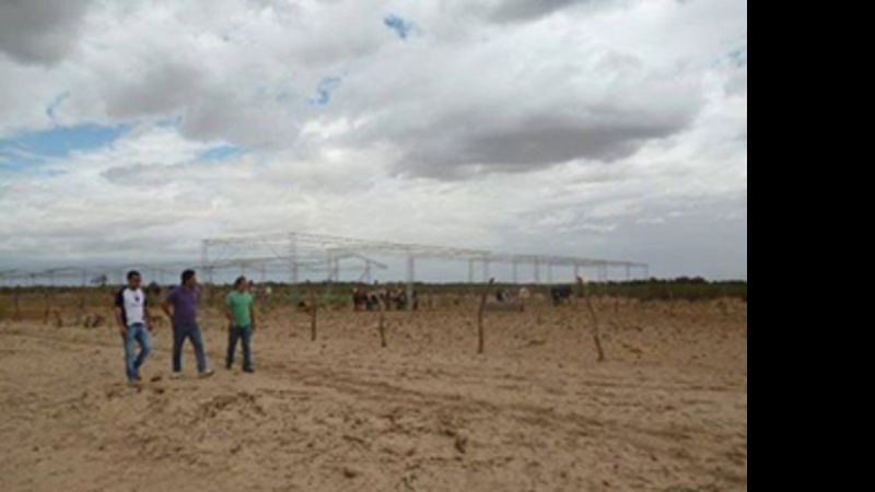 Concejales visitaron proyecto agrícola-ganadero