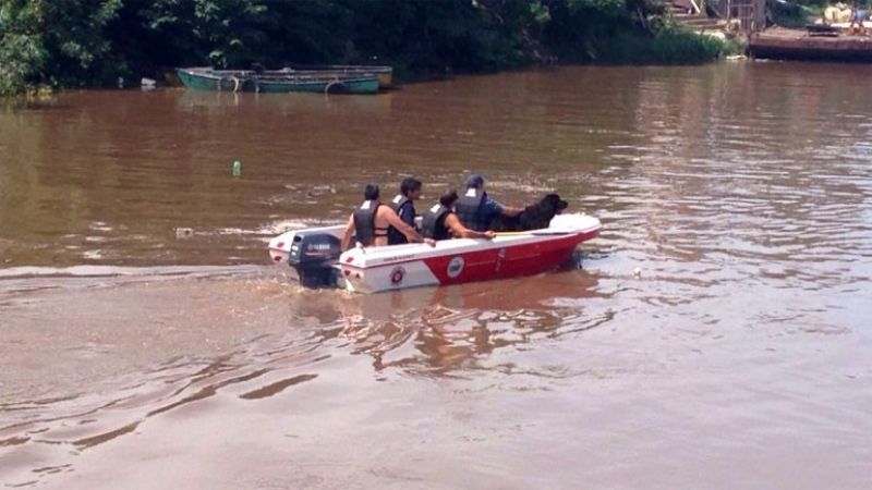 Encontraron muerto a un nene en medio de las inundaciones en el Litoral