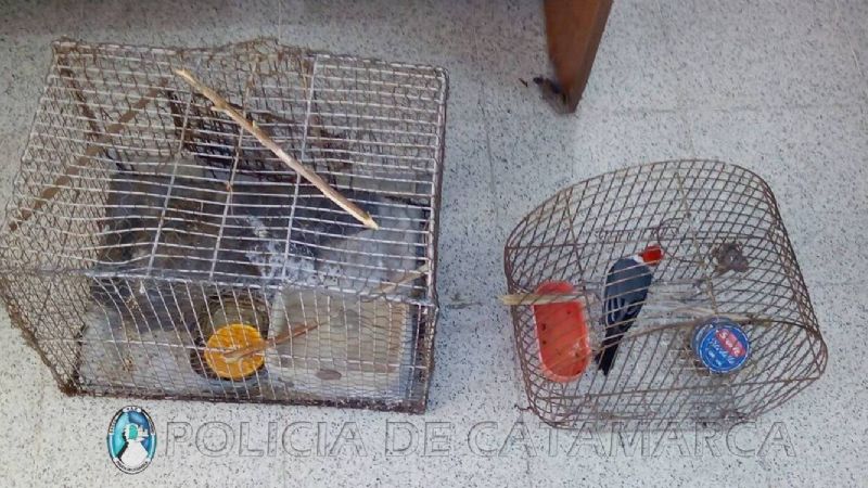 Detuvieron a "Draculin" Gutiérrez