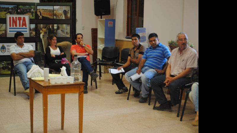 Sector olivícola: Técnicas y Prácticas de Laboratorio reconocidas por el COI