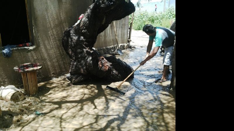 La lluvia afectó a varias familias que se inundaron