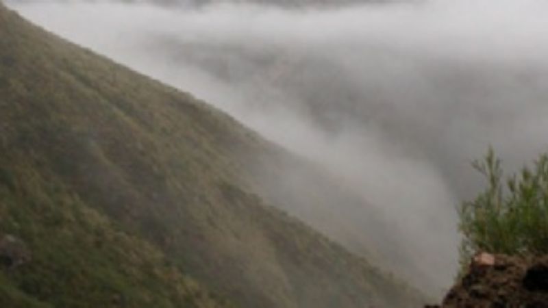 Se habría apagado el incendio forestal