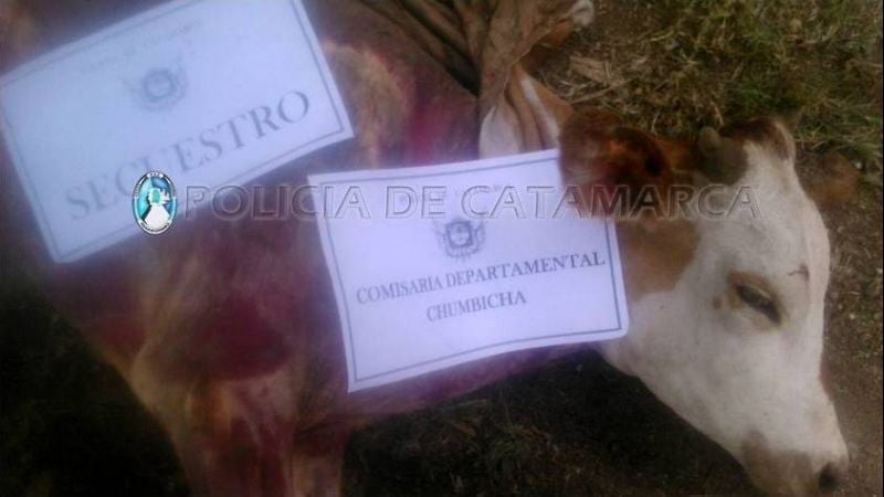 Aprehenden a tres sujetos en Capayán