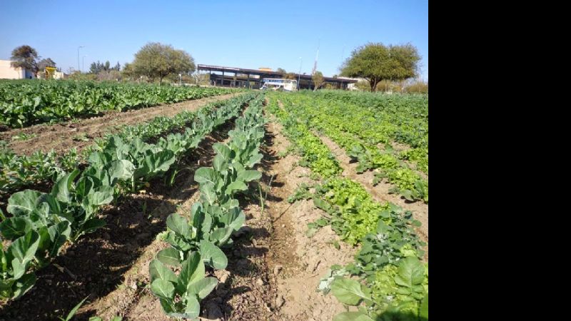 Solo quedará apostar a la producción