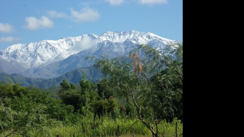 Naturaleza andalgalense en plenitud