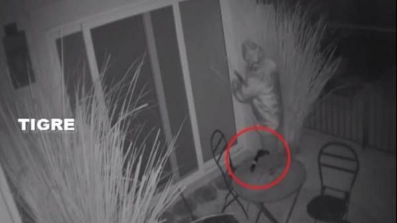 El prefecto que robo a Massa no trabajaba en la Dirección de Inteligencia