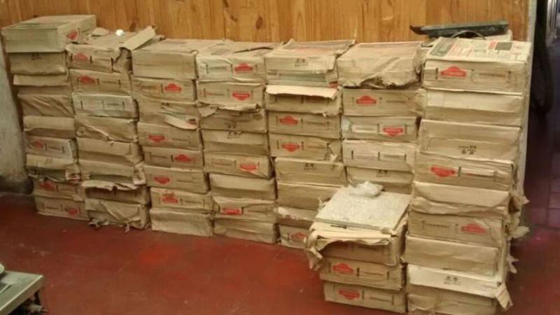 Esclarecen ilícitos y detienen a varios jóvenes