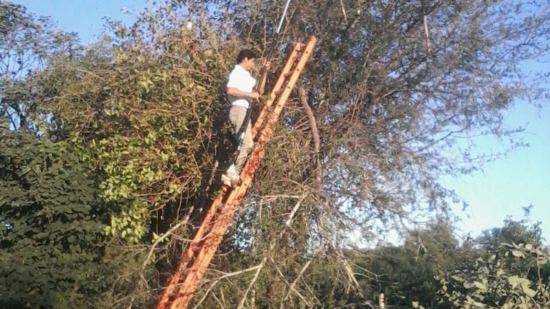 Trabajos de poda y mantenimiento de las lineas de media tensión de la EC SAPEM