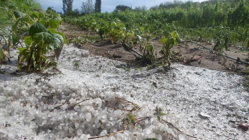 Fuerte temporal en San José causó serios daños