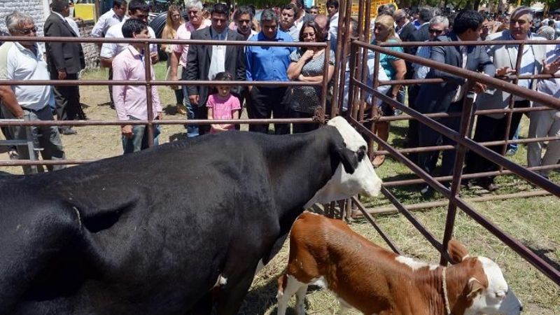 Corpacci entregó maquinaria a productores de Capayán