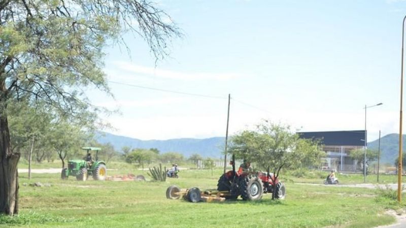 Realizan tareas de limpieza y desmalezamiento