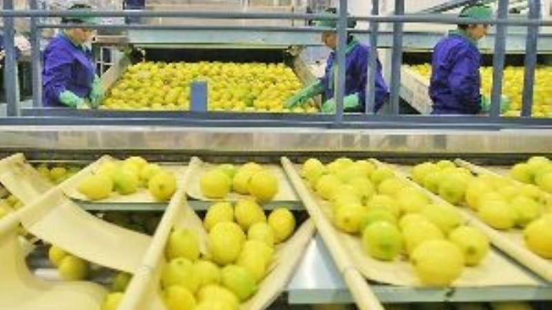 Las economías regionales en crisis por "retraso cambiario"