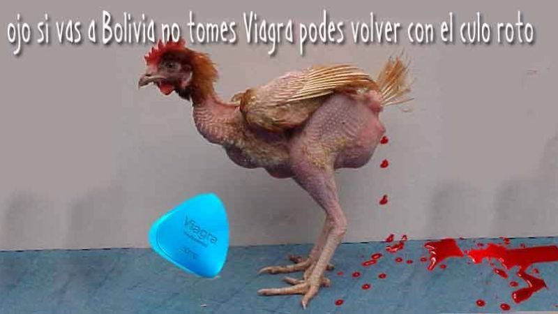 Ahora, los afiches con cargadas a River desde Bolivia