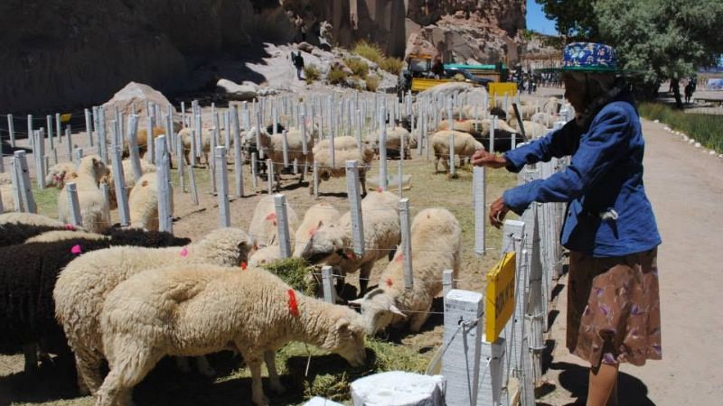 Se realizó con notable éxito la Feria de la Puna