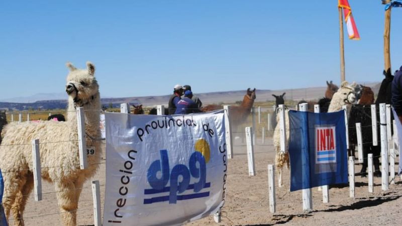 Se realizó con notable éxito la Feria de la Puna