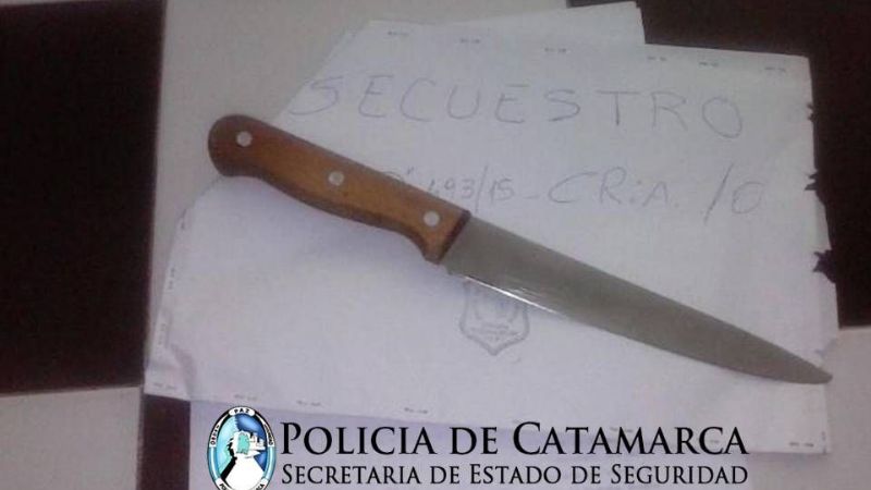Intentó acuchillar a policías