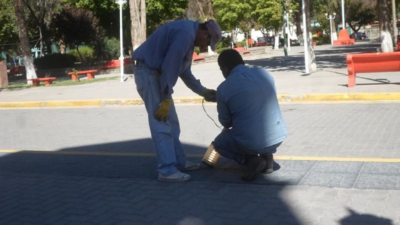 Importantes tareas de mantenimiento en el Paseo de La Fe