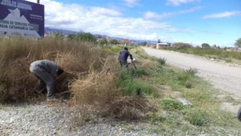 Desmalezado y fumigación en los barrios de Santa María