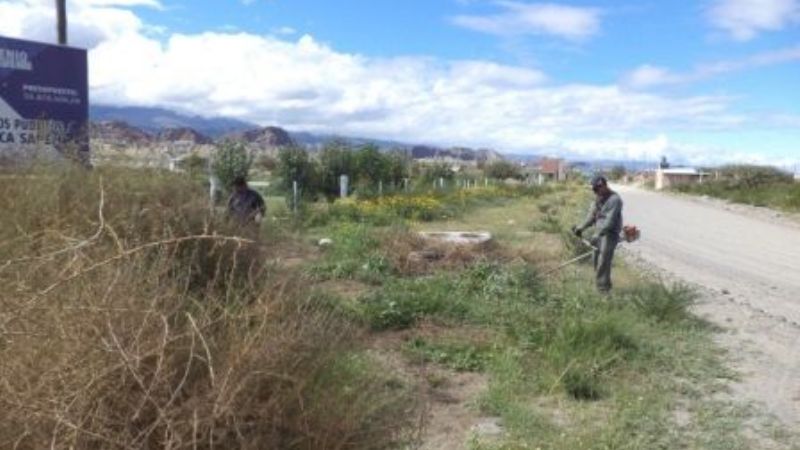 Desmalezado y fumigación en los barrios de Santa María