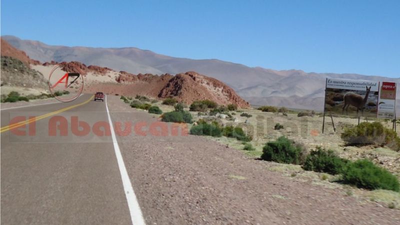Cazadores y cuatreros producen enormes perjuicios en la cordillera