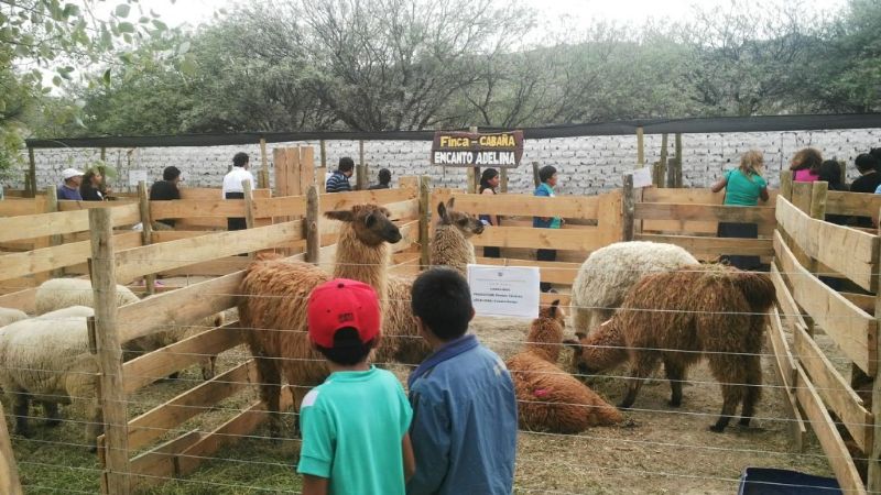 Todos pudieron disfrutar de la 4ta. Feria Agroganadera en San José