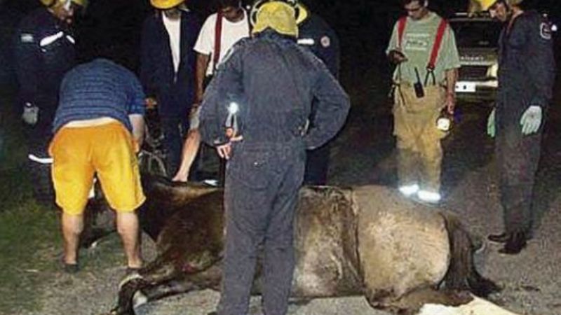 Durante la tormenta de anoche, un rayo fulminó a un joven en Belén