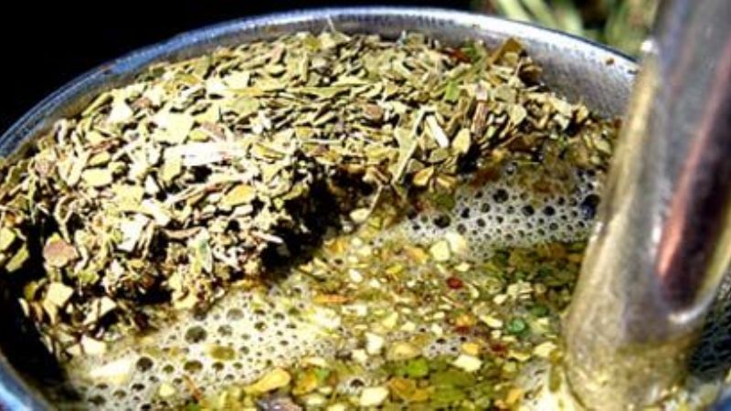 La cosecha 2014 de yerba mate fue récord