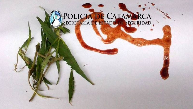 Secuestran elementos robados y plantas de marihuana en Capayán