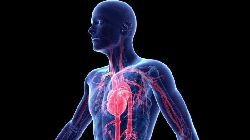 ¿Cuán lejos o cerca de sufrir un ataque al corazón? Existe una prueba para saberlo