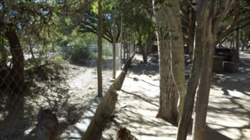 Completan obras en Loro Huasi