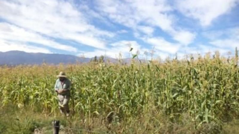 Exitoso Festival del Agricultor