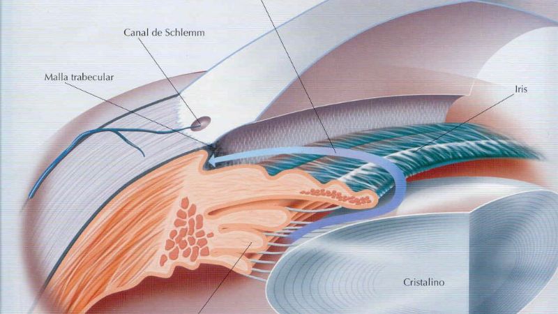 Nueva campaña de prevención de ceguera por glaucoma