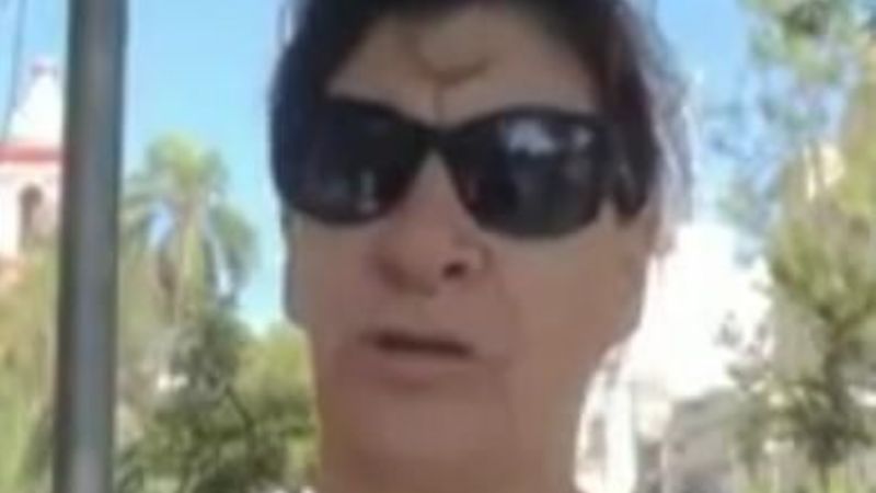 Brigadas escolares solidarias