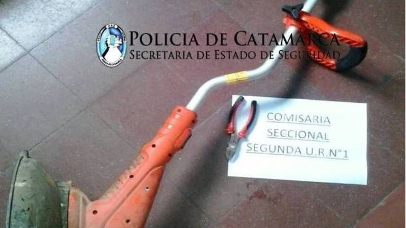 Recuperan una bordeadora