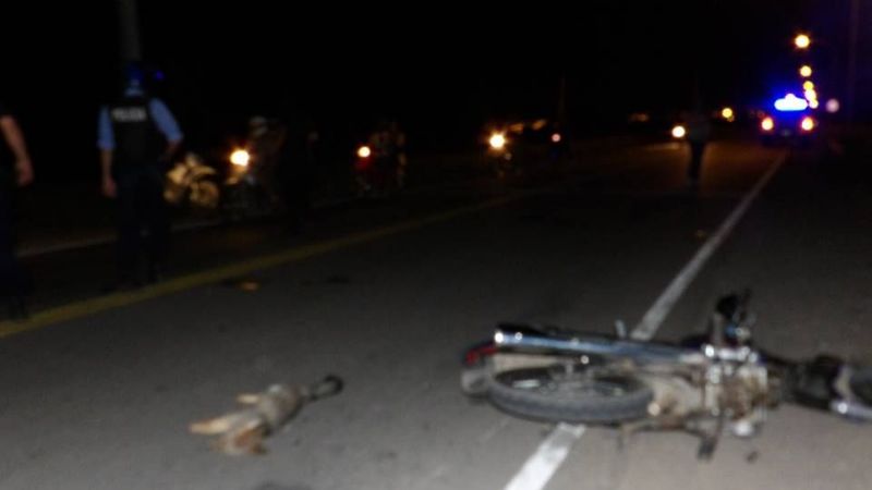 Un zorrito provocó un accidente en Sumalao