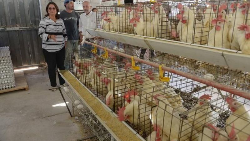 La Gobernadora entregó viviendas a 16 familias de Los Castillos