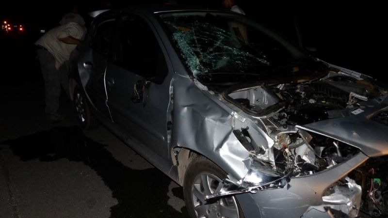 Familia riojana chocó con una vaca