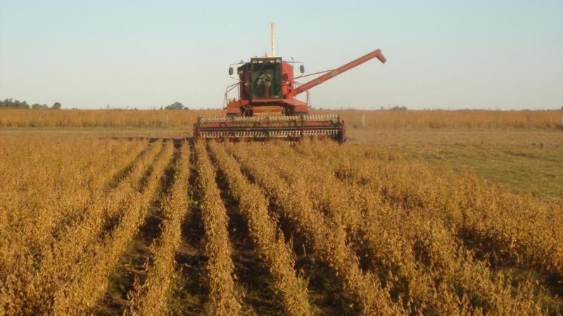 En el norte del país, zona más perjudicada en la cosecha de soja