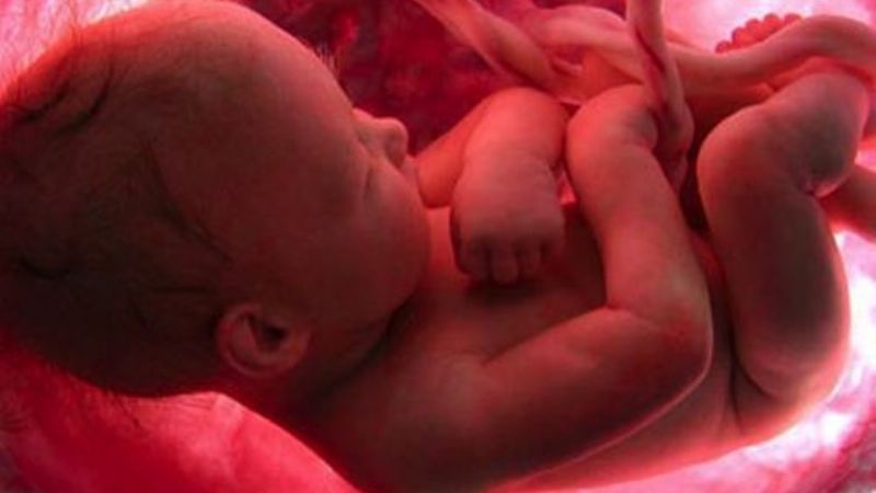 25 de marzo: Día Internacional de los Derechos del Niño por Nacer