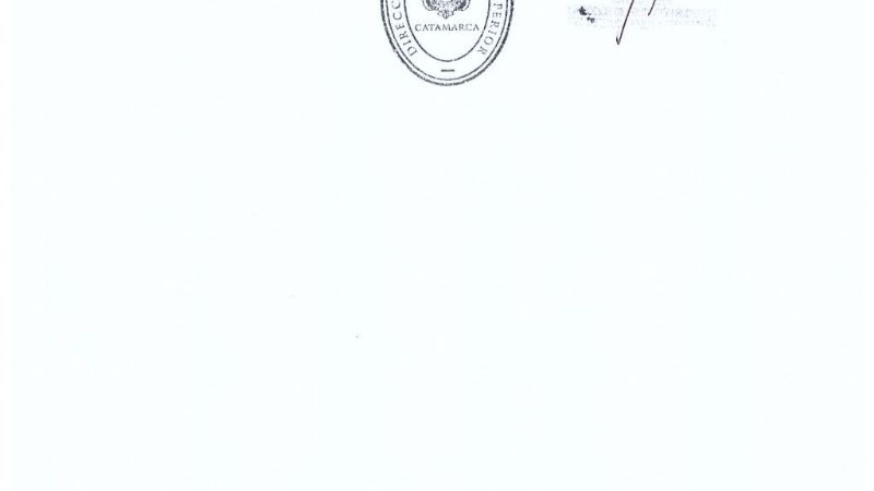 Reasignación de docentes titulares de horas cátedras de Nivel Superior