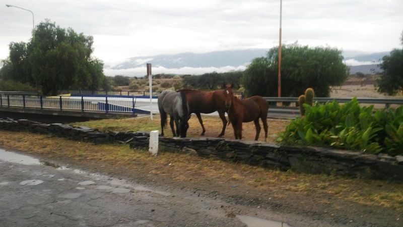 La Policía de Santa María ya cuenta con el convenio firmado por el predio
