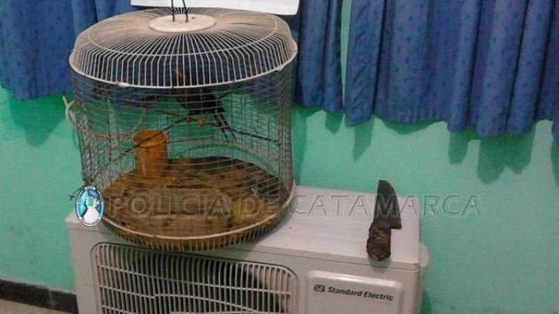 Atraparon a un joven tras robar la batería de un auto