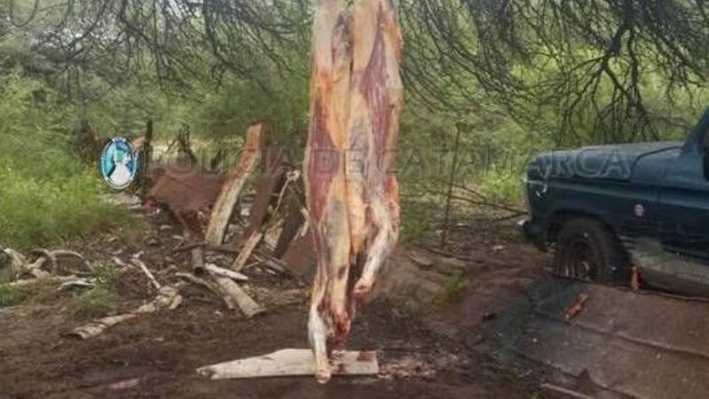 Los sorprenden faenando animales