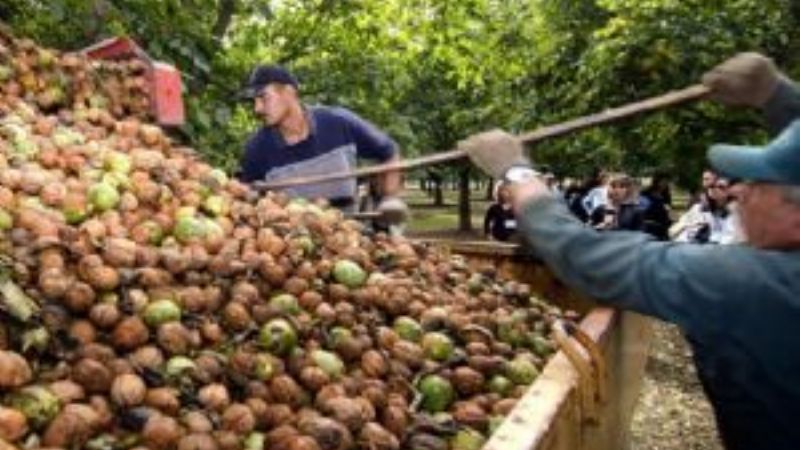 Ultiman detalles para que Santa María sea sede del 3º Congreso de Nogaleros