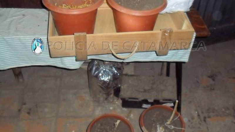 Secuestran droga en un comercio capitalino y en la Terminal de Belén