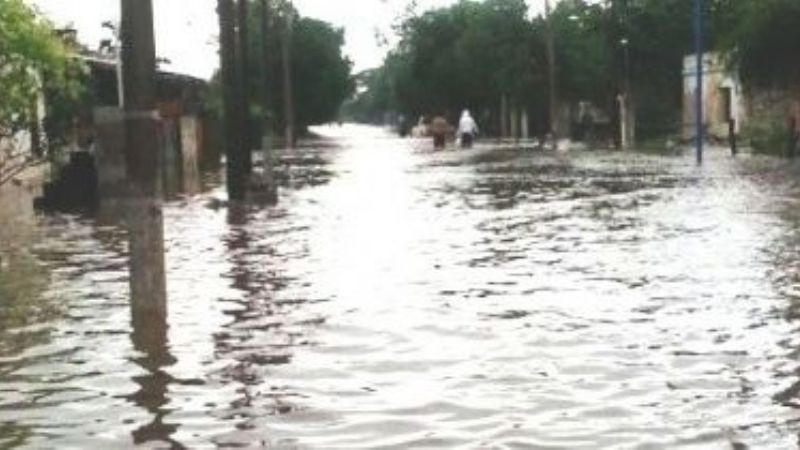 “El puente hay que volarlo, es irreversible”