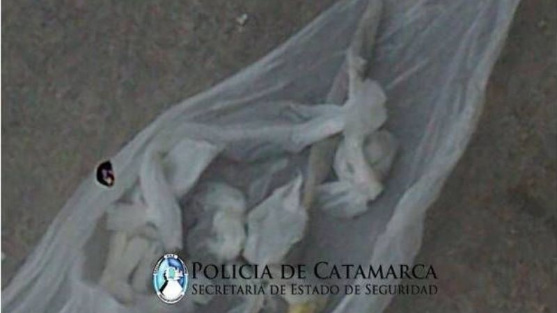 Tras una persecución, aprehendieron a un joven con droga