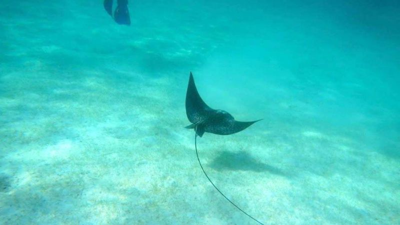 Tres rincones inolvidables de la costa mexicana al Caribe