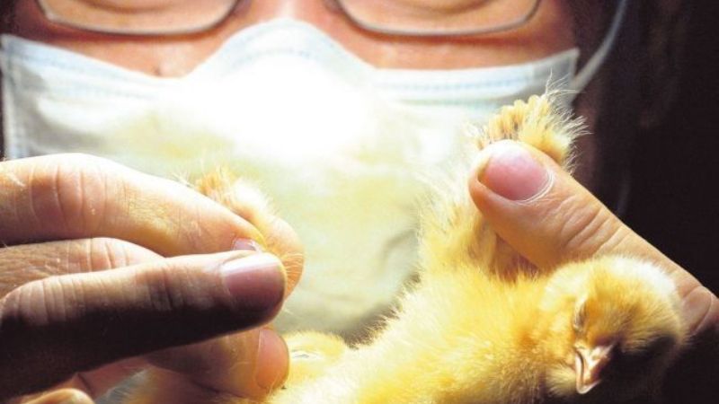 El trabajo de los 43 mil pesos que nadie quiere hacer