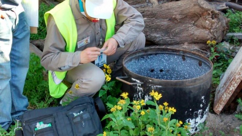 Modificación en el Cronograma de Control Focal